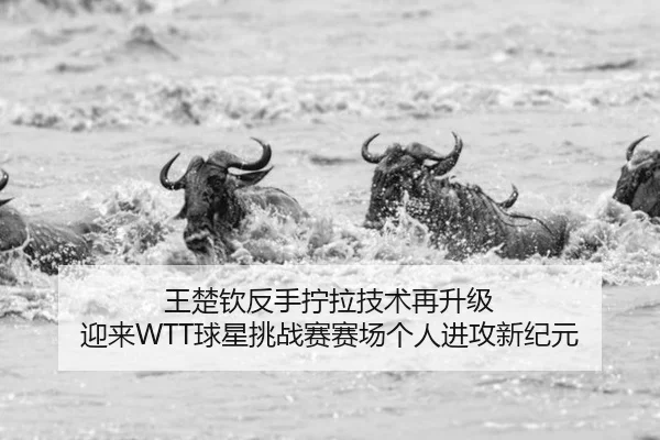 王楚钦反手拧拉技术再升级 迎来WTT球星挑战赛赛场个人进攻新纪元